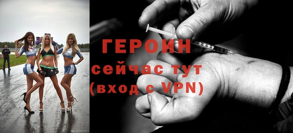 сатива Кулебаки