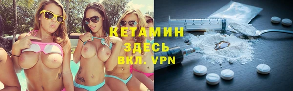 сатива Кулебаки