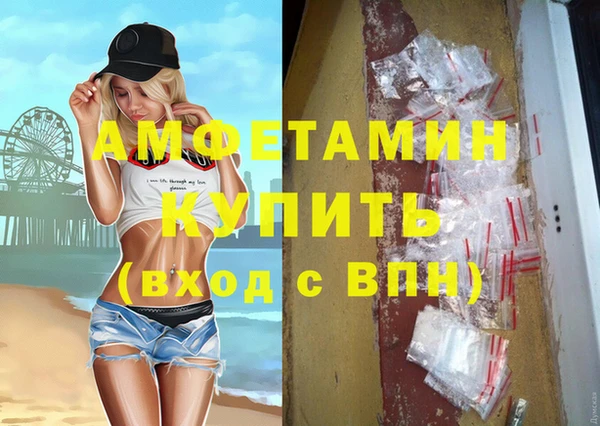 сатива Кулебаки