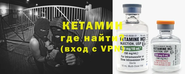 сатива Кулебаки