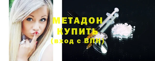 сатива Кулебаки