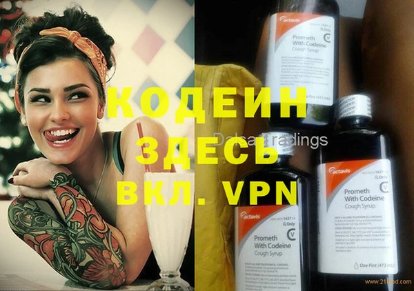 сатива Кулебаки