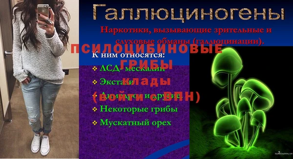 сатива Кулебаки