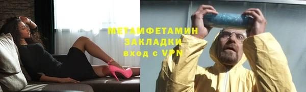 сатива Кулебаки