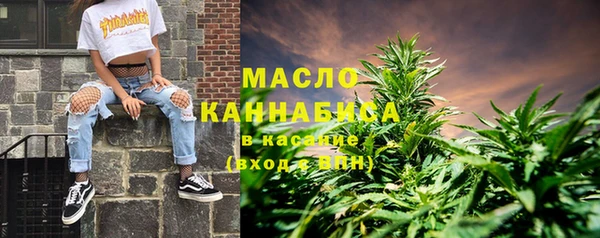 сатива Кулебаки