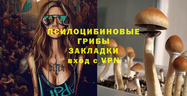 2c-b Куйбышев