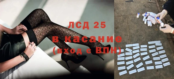сатива Кулебаки