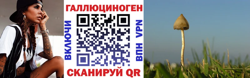 Галлюциногенные грибы мухоморы  Купить где  Новохопёрск 